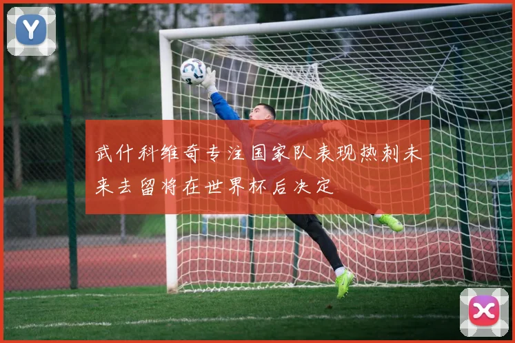 武什科维奇专注国家队表现热刺未来去留将在世界杯后决定