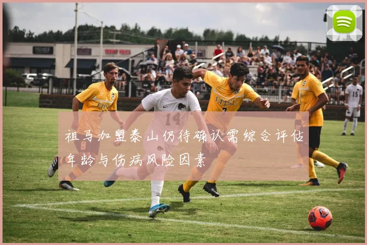 祖马加盟泰山仍待确认需综合评估年龄与伤病风险因素